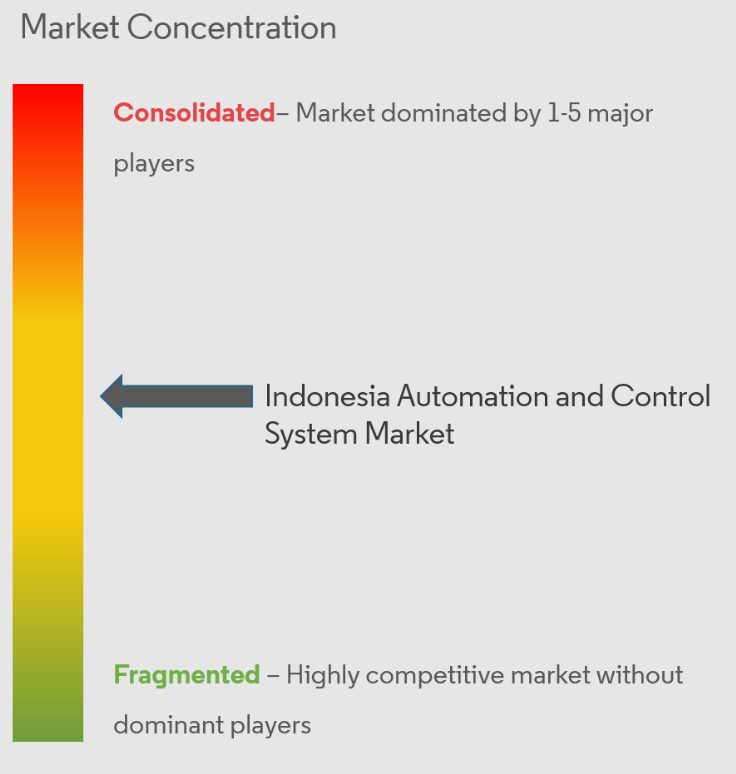 Indonesia Automation And Control System Market Concentration Indonesia Automation and Control System Market Concentration